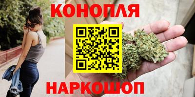 Альфа ПВП Камышлов