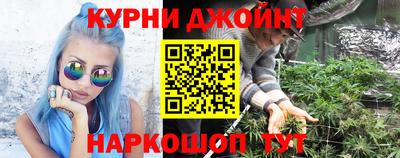 Альфа ПВП Камышлов