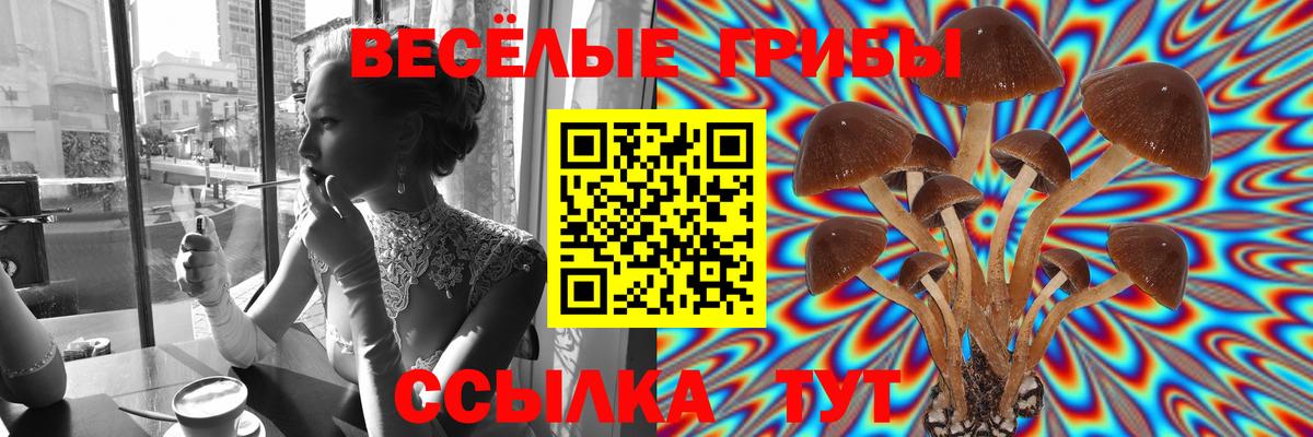 Псилоцибиновые грибы Psilocybe Дальнегорск