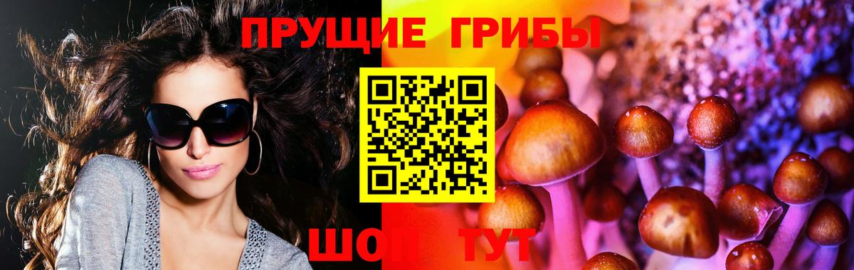 Дальнегорск  Псилоцибиновые грибы ЛСД  Вход с VPN  Псилоцибиновые грибы Magic Shrooms 