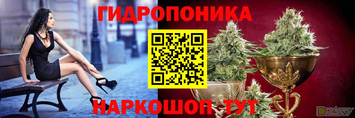 Канабис ГИДРОПОН  Вход с VPN  Канабис OG Kush  Дальнегорск  Конопля конопля  Каннабис индика 